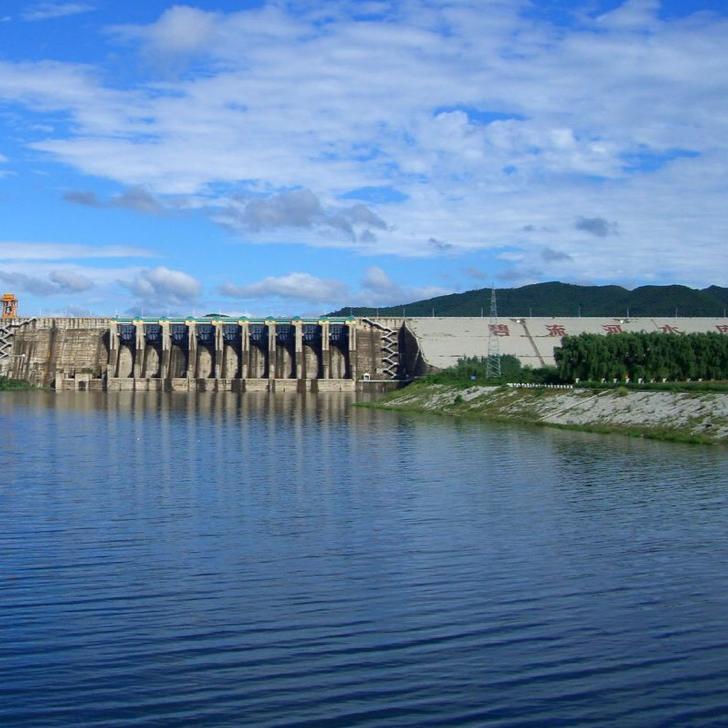 碧流河水库野生鱼行