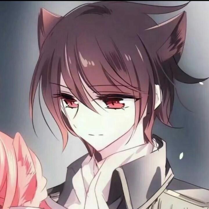 i宠辱不惊