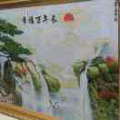 果冻丁