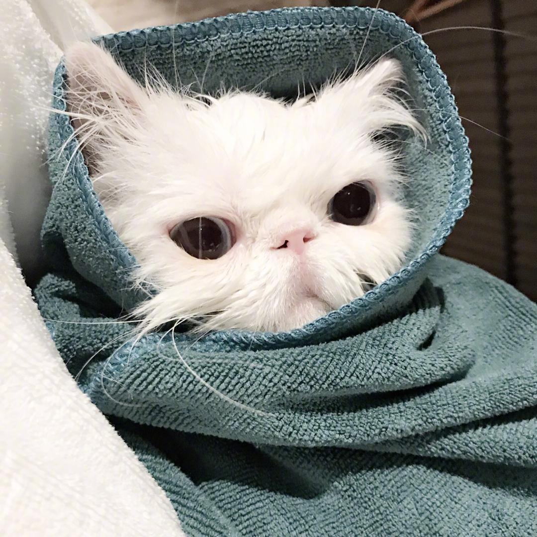 🦄阿淼 大人😈💤