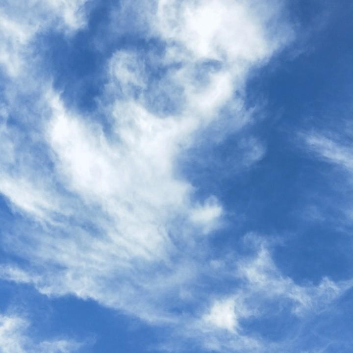 唯恐天下不乱的angel