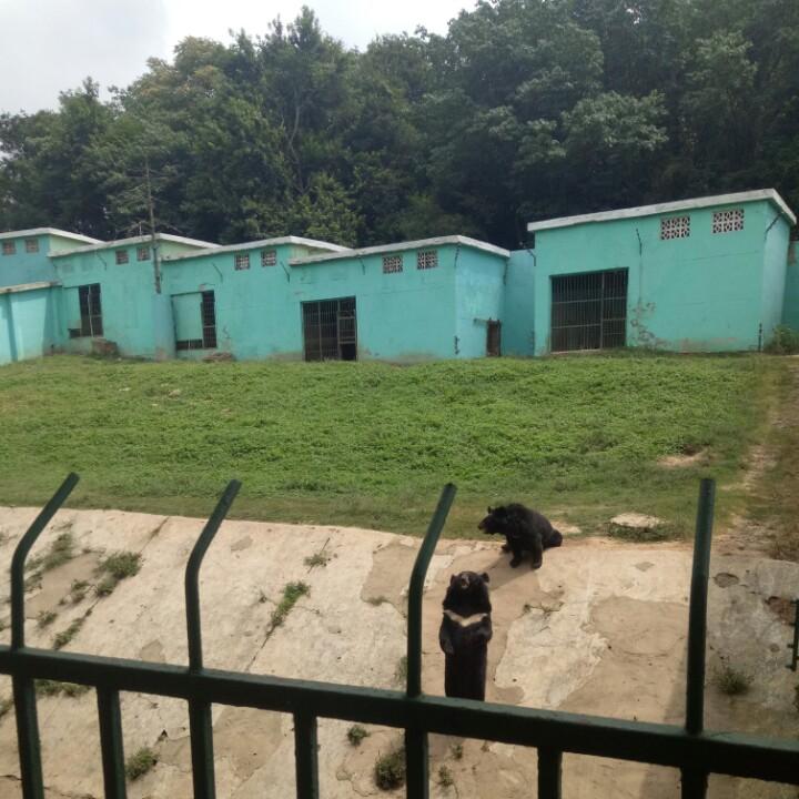 Eve虎牙主播相约