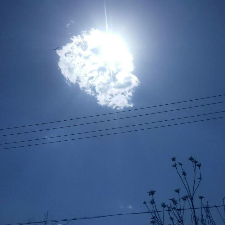 大王叫我来巡山