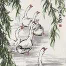 孙晨雨