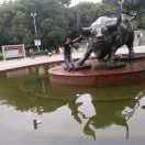 阳少🔥专业钻井