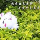 落花，惜