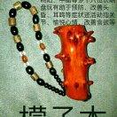 随缘来信