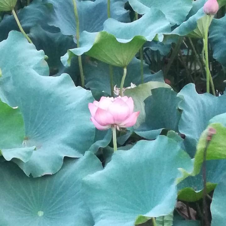好不容易