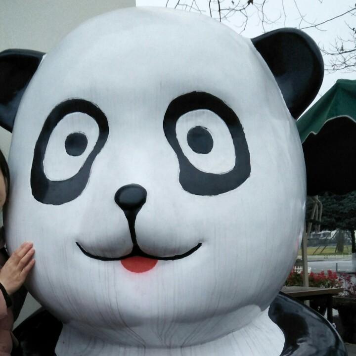 🐯哎呦🐯