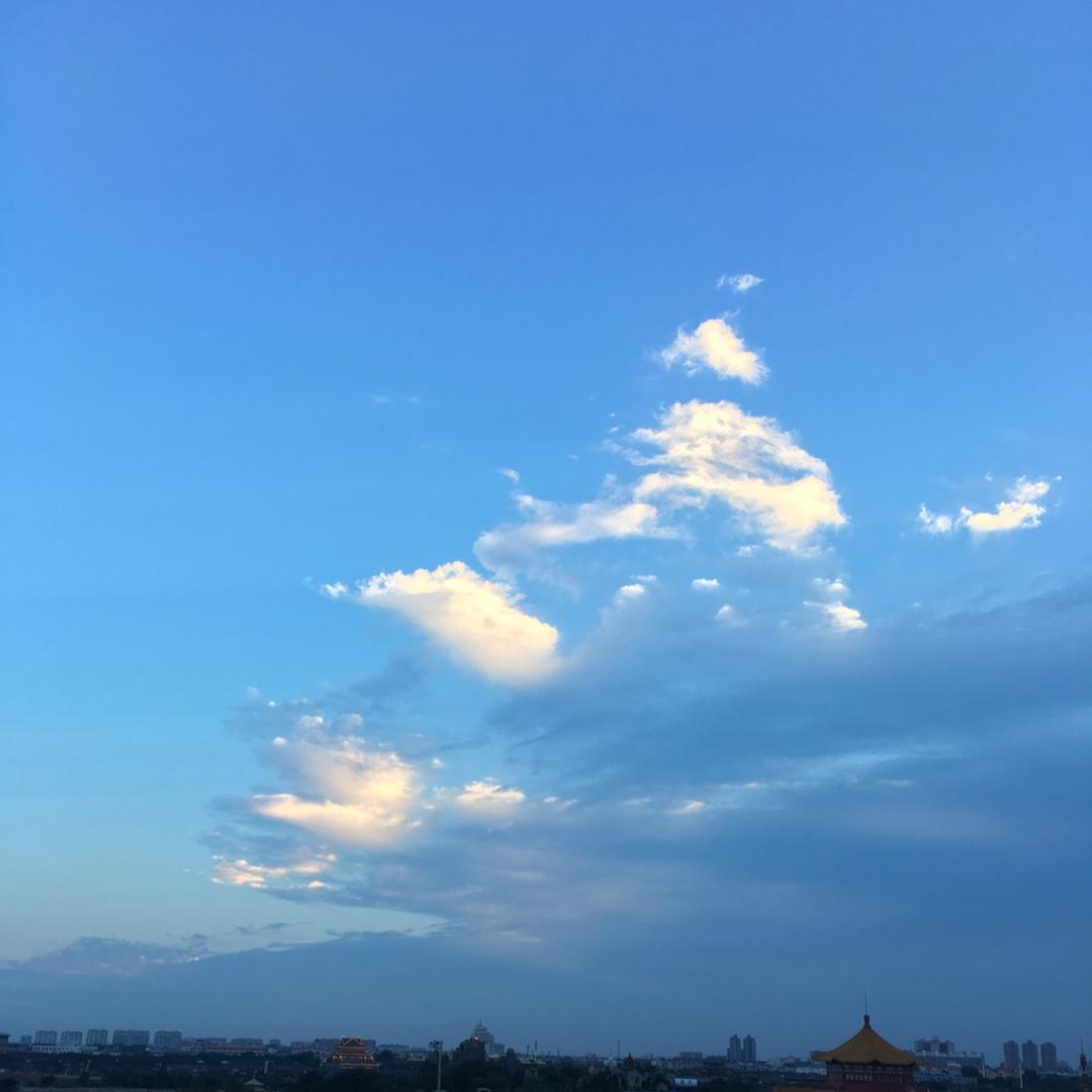 小香菇