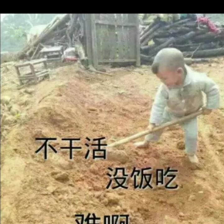 平平淡淡的