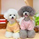 天天好心情！🌹 ！