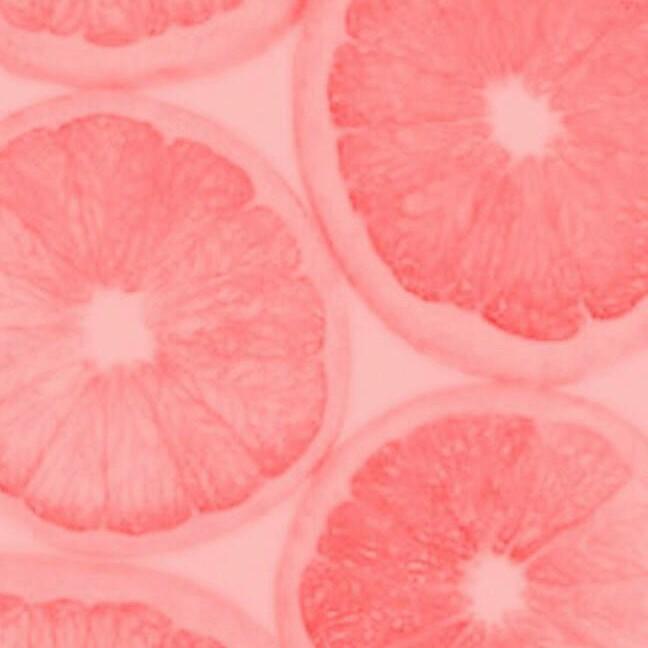 🍉。。