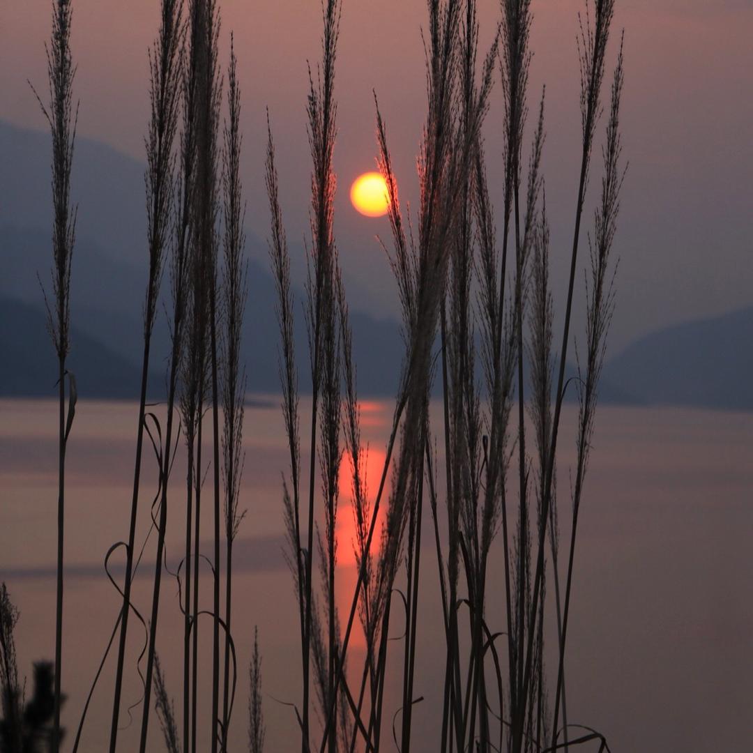 舌尖上的东山峰