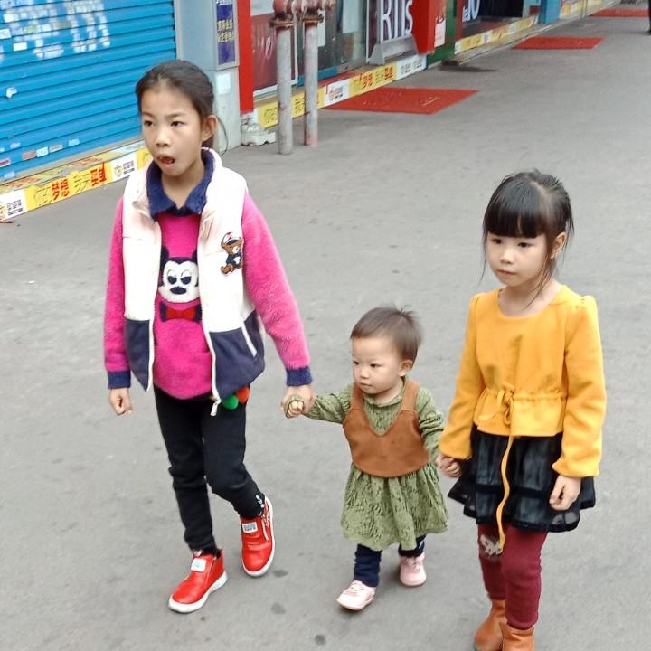 刘存智