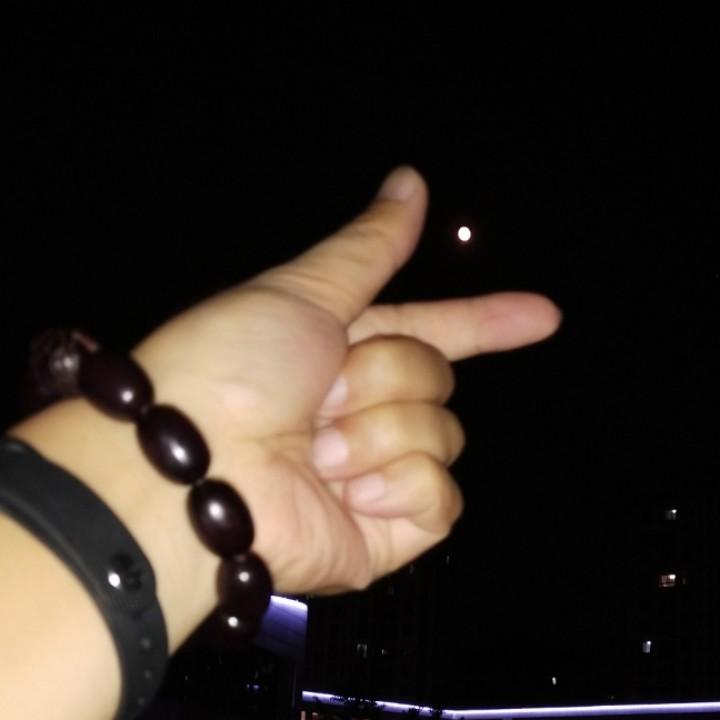 ✨跟我一起颓废🍾🍾