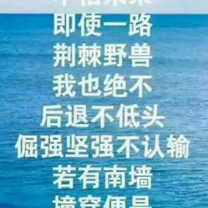 风过雪无痕