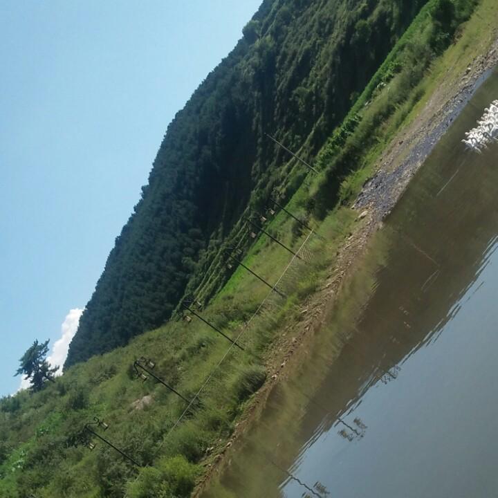 虹