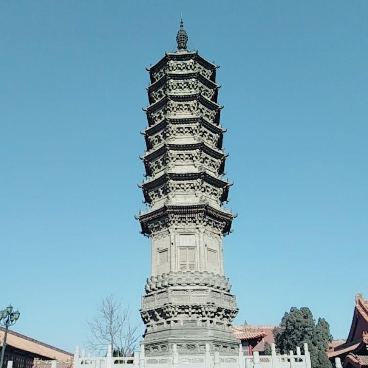 迷途小书童