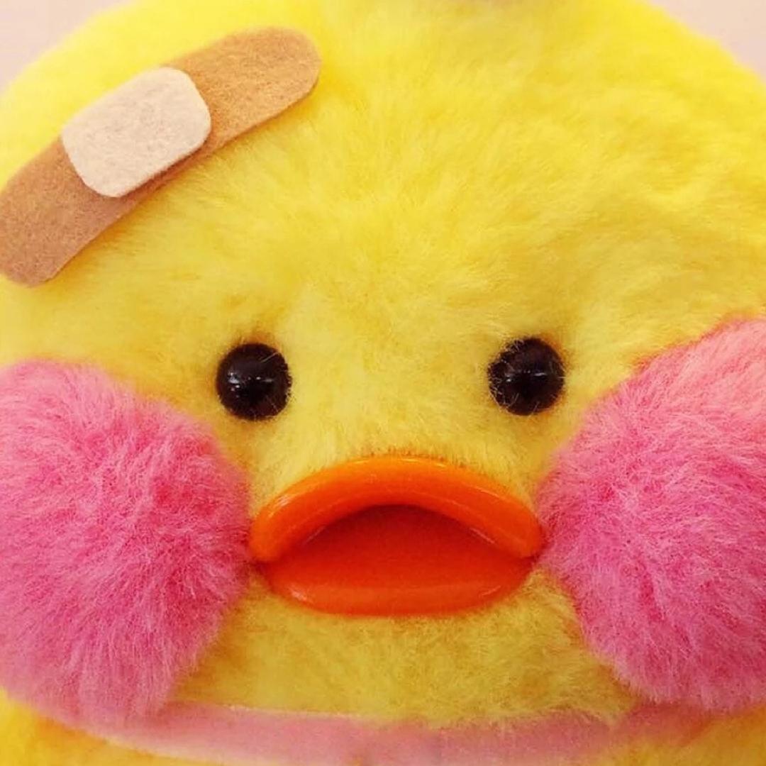 🌈一只酒窝🌈