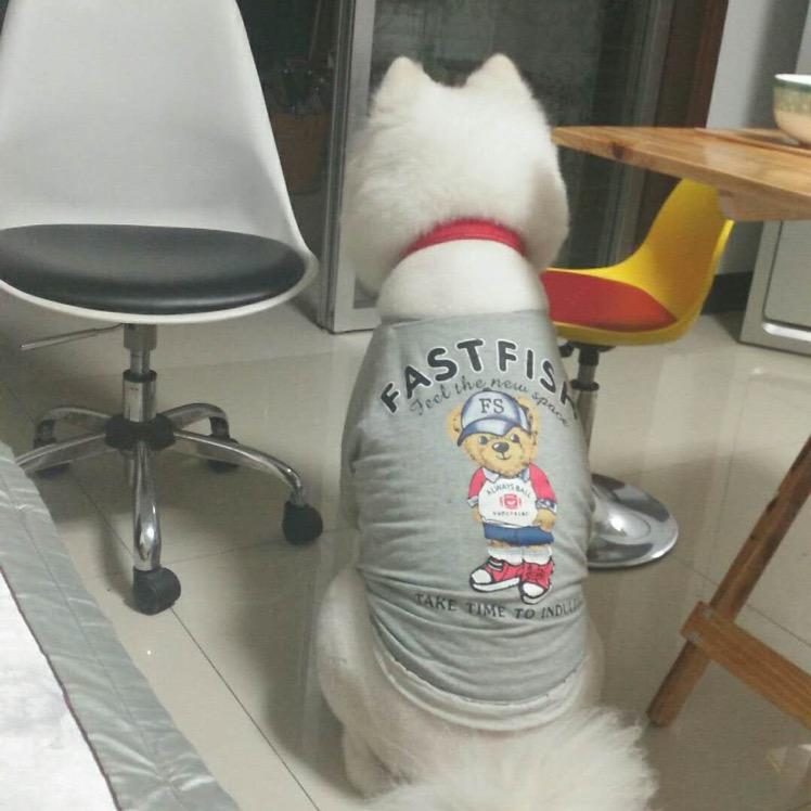 许久不见