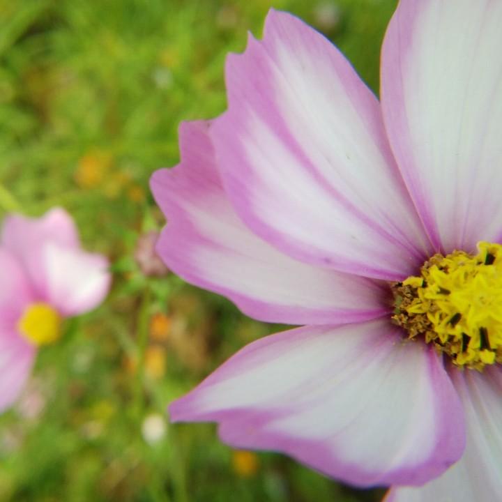 小陈同志