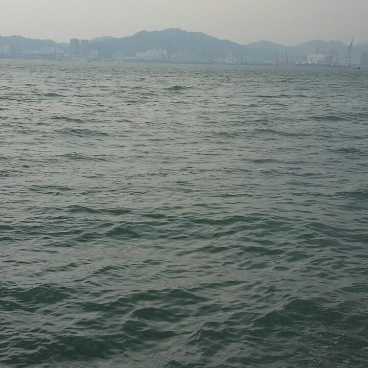 华哥$