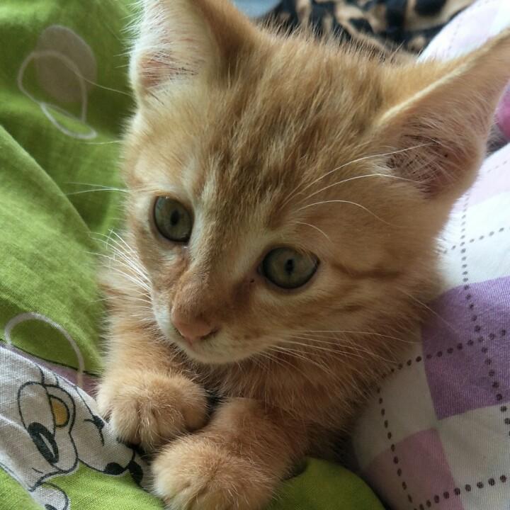 ☺☺☺☺