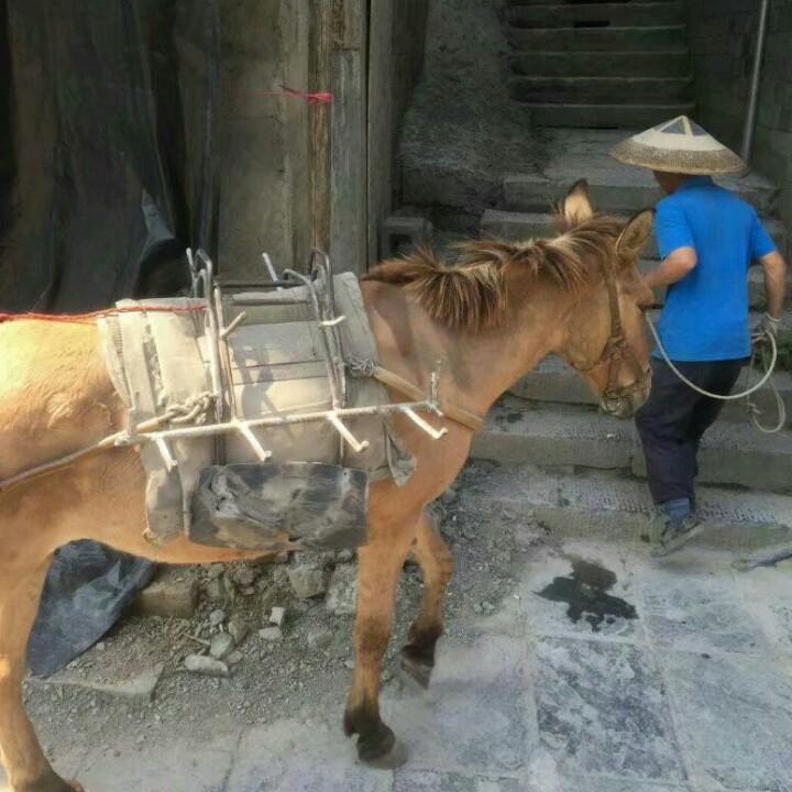 哎呦喂