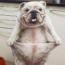 开心快乐周铁锤