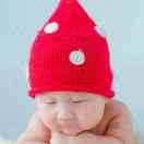 九多肉多北海健康路店