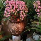 回忆的往事:伤感