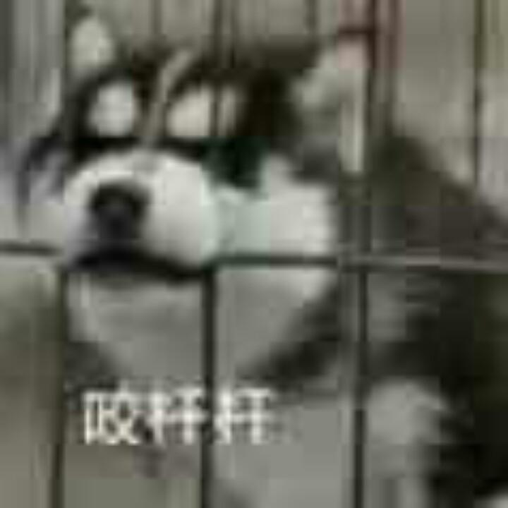 急也没用