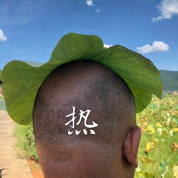 西瓜