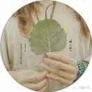 心静如水（拒绝私聊  拒绝连赞）