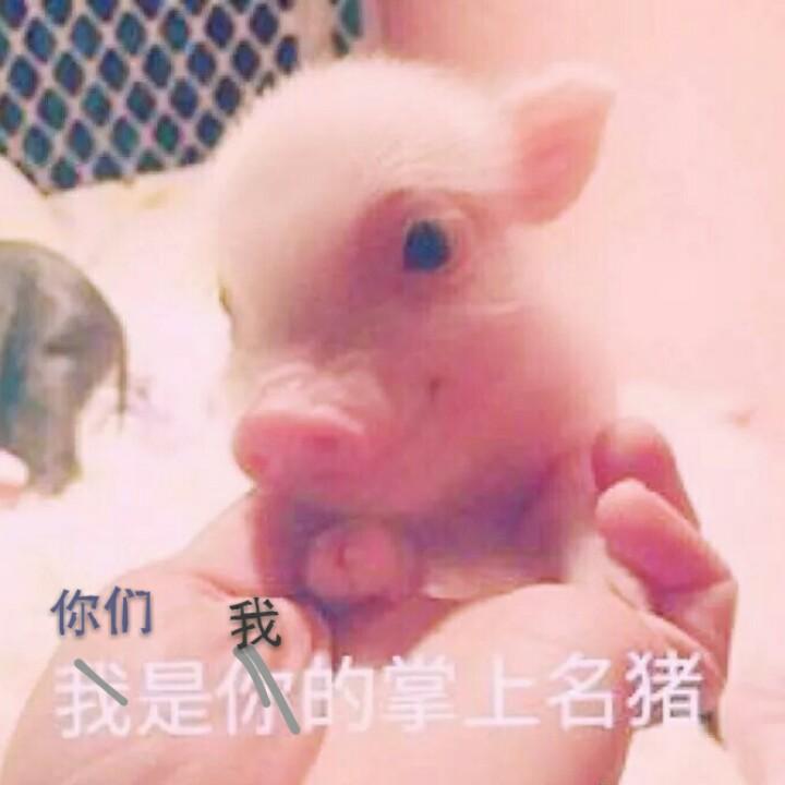 horgo
