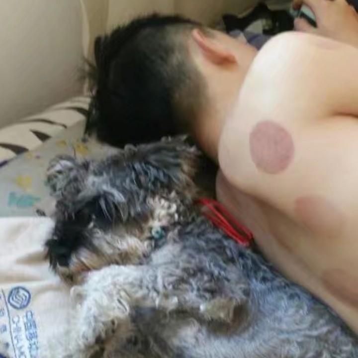 国宝