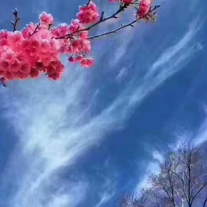 孟习尧