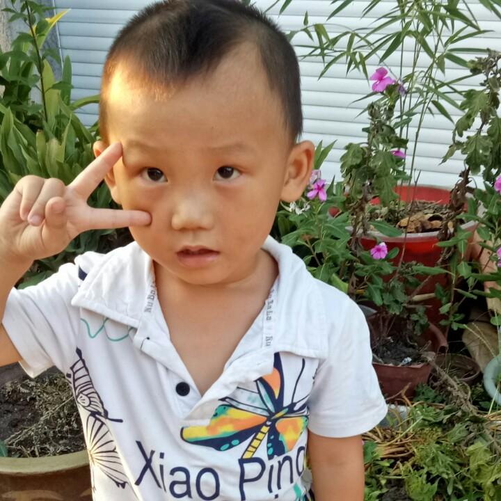 洋洋