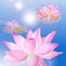 梦幻西游晓姐姐