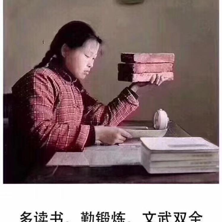数我最呆萌