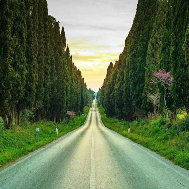 吃饭睡觉打豆豆的男人！