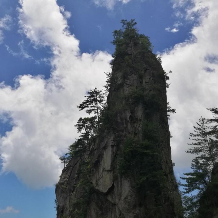 乐天派天乐