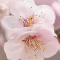 梦想🌟🌟起航