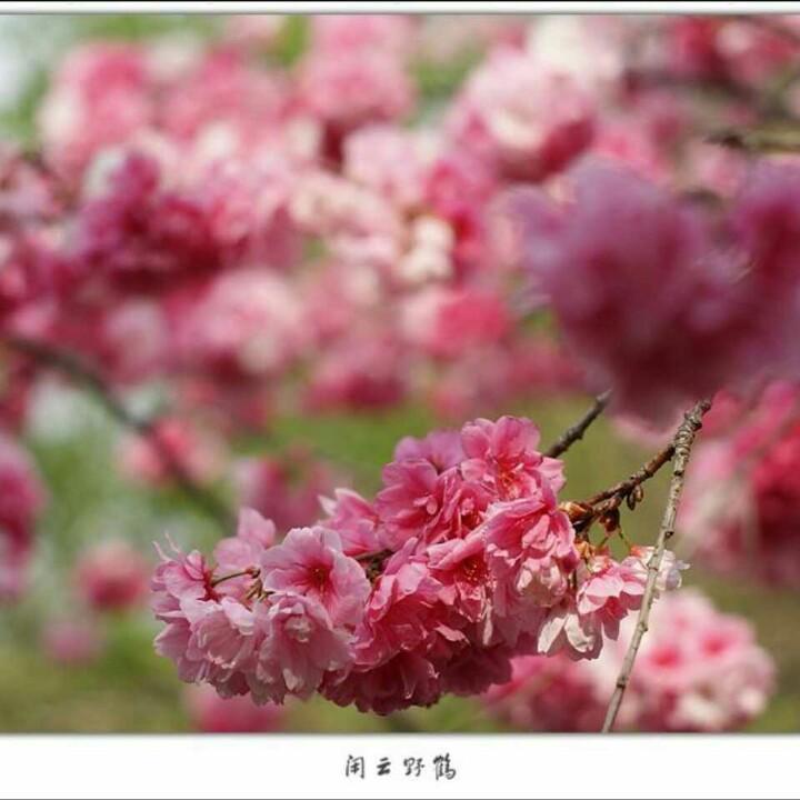 景色满园♡