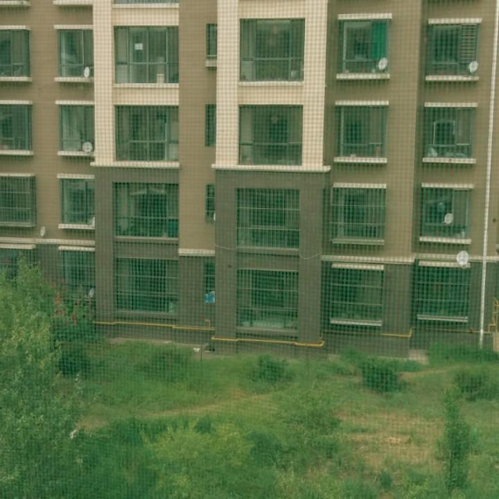 志强