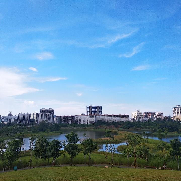 青山
