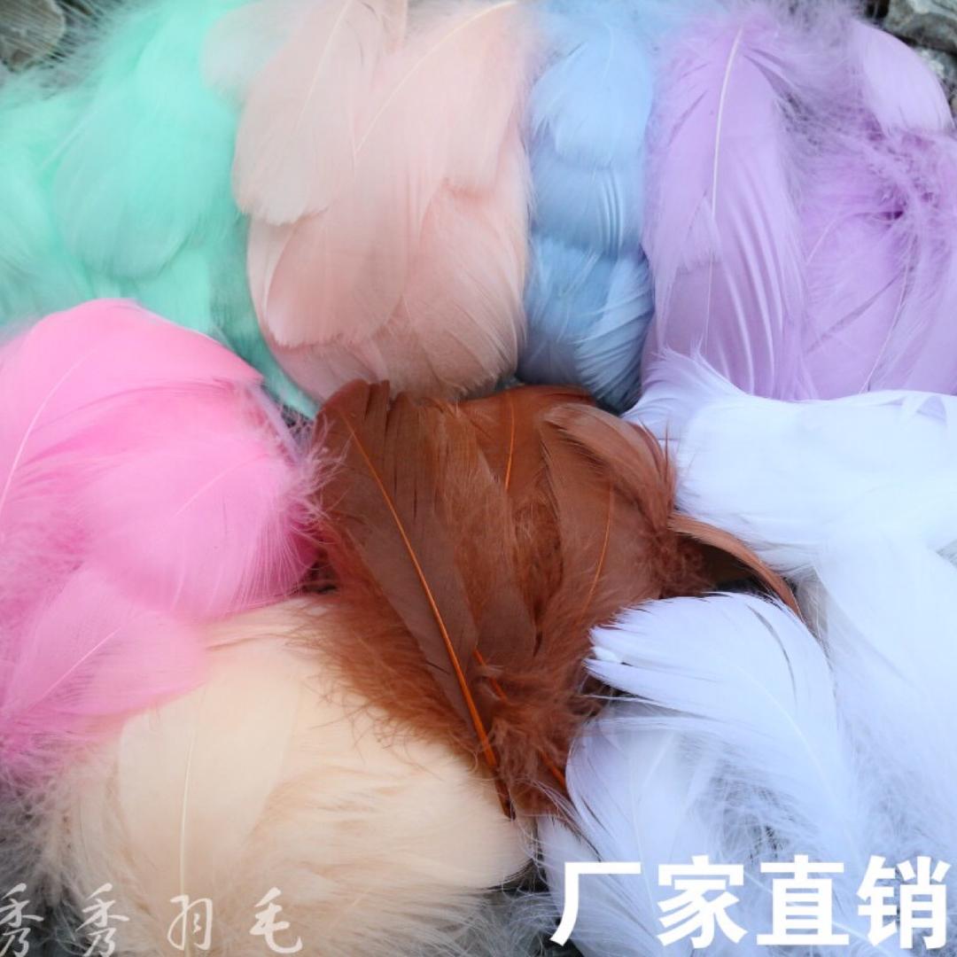权秀羽毛（源头厂家）