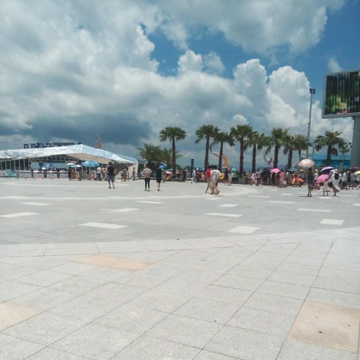 诗和远方的青年