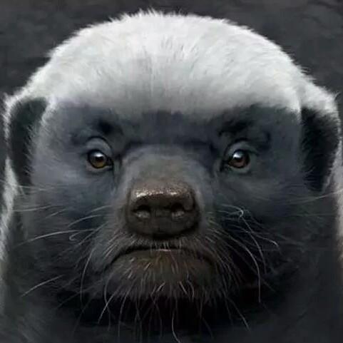 航航